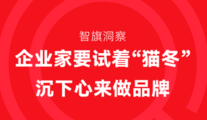 企业家要试着“猫冬”，沉下心来做品牌
