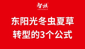 东阳光冬虫夏草爆火背后：传统药企转型的3个颠覆性创新公式