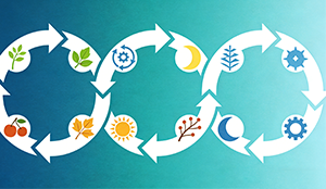 智旗：品牌如何穿越周期？从生命周期理论到智旗实战策略，解锁品牌永续经营密码